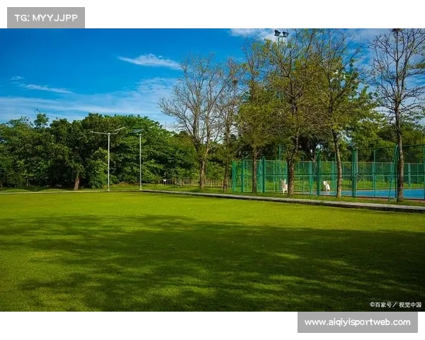 多家俱乐部计划夏季升级主场草坪，以更适应高速攻防节奏